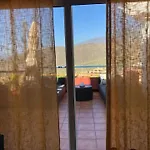 Vi * أذيخي
